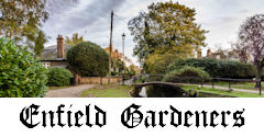 Enfield Gardeners Link