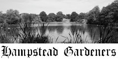 Hampstead Gardeners Link